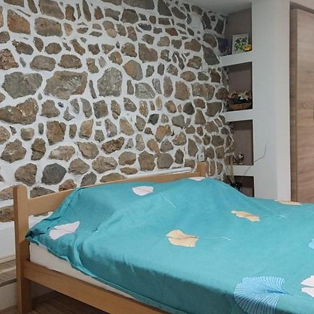 Guest House Stevovski Elshani 외부 사진