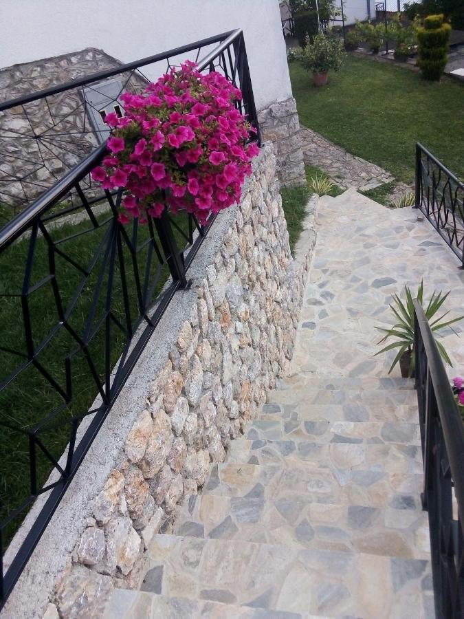 Guest House Stevovski Elshani 외부 사진