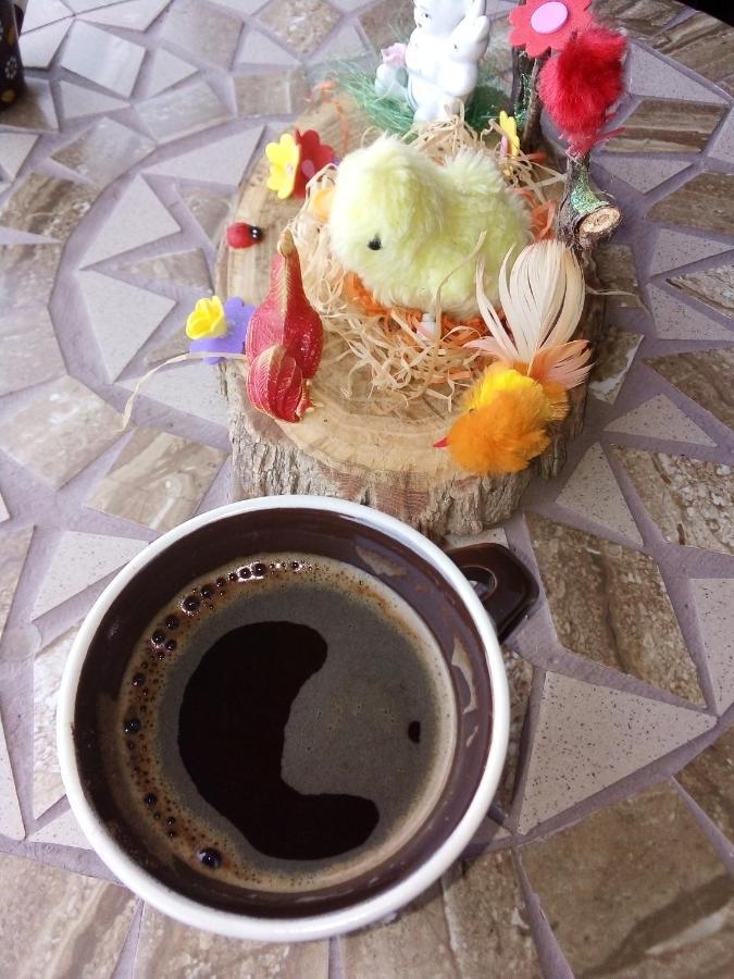 Guest House Stevovski Elshani 외부 사진