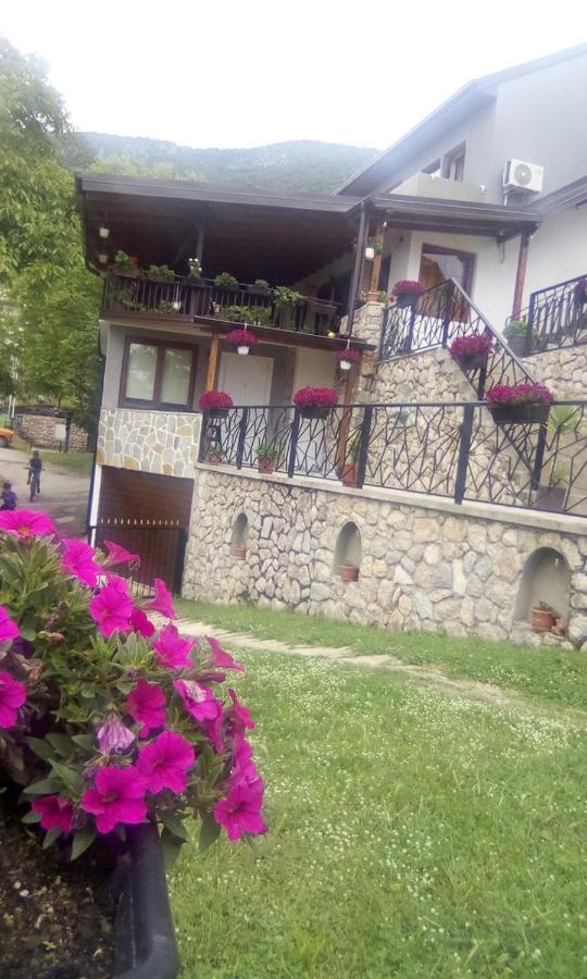 Guest House Stevovski Elshani 외부 사진