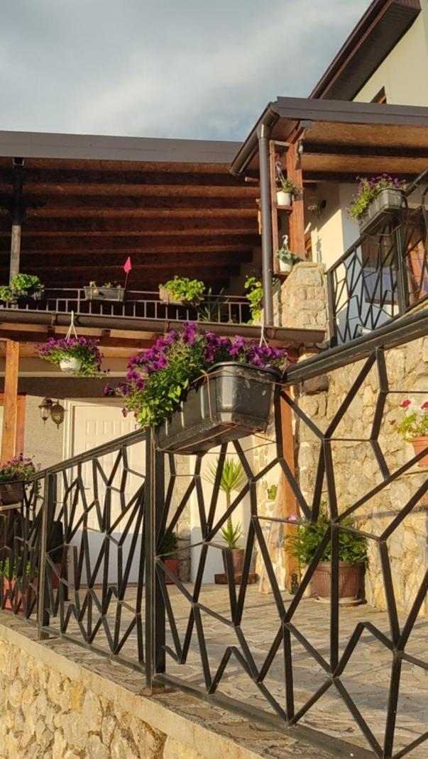 Guest House Stevovski Elshani 외부 사진
